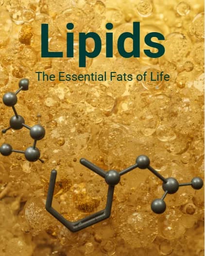Lipids/Power Point