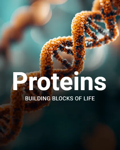 Proteins/Power Point