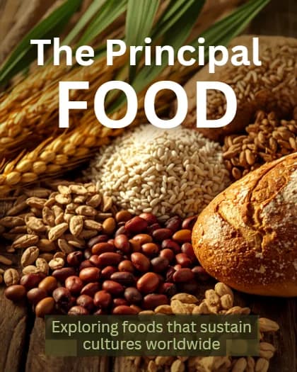 The Principal Food/Power Point